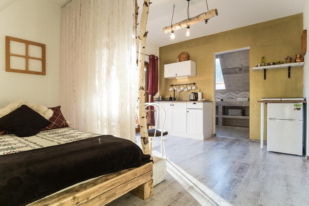 Apartamenty Magiczny Kacik Поронін Екстер'єр фото